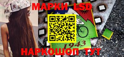 стаф Краснодар