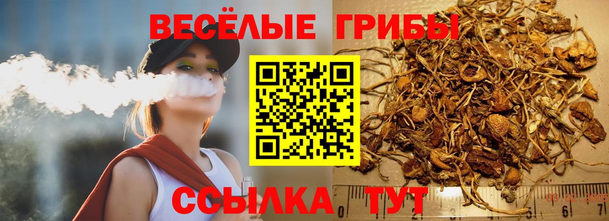 Галлюциногенные грибы мицелий  Вход с VPN  Гудермес 